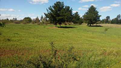 Residential Land For Sale in 