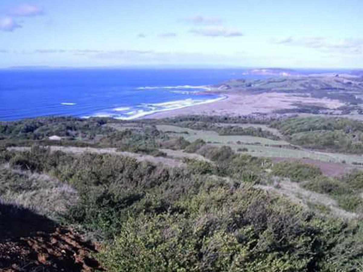Picture of Residential Land For Sale in Region De Los Rios, Los Rios, Chile