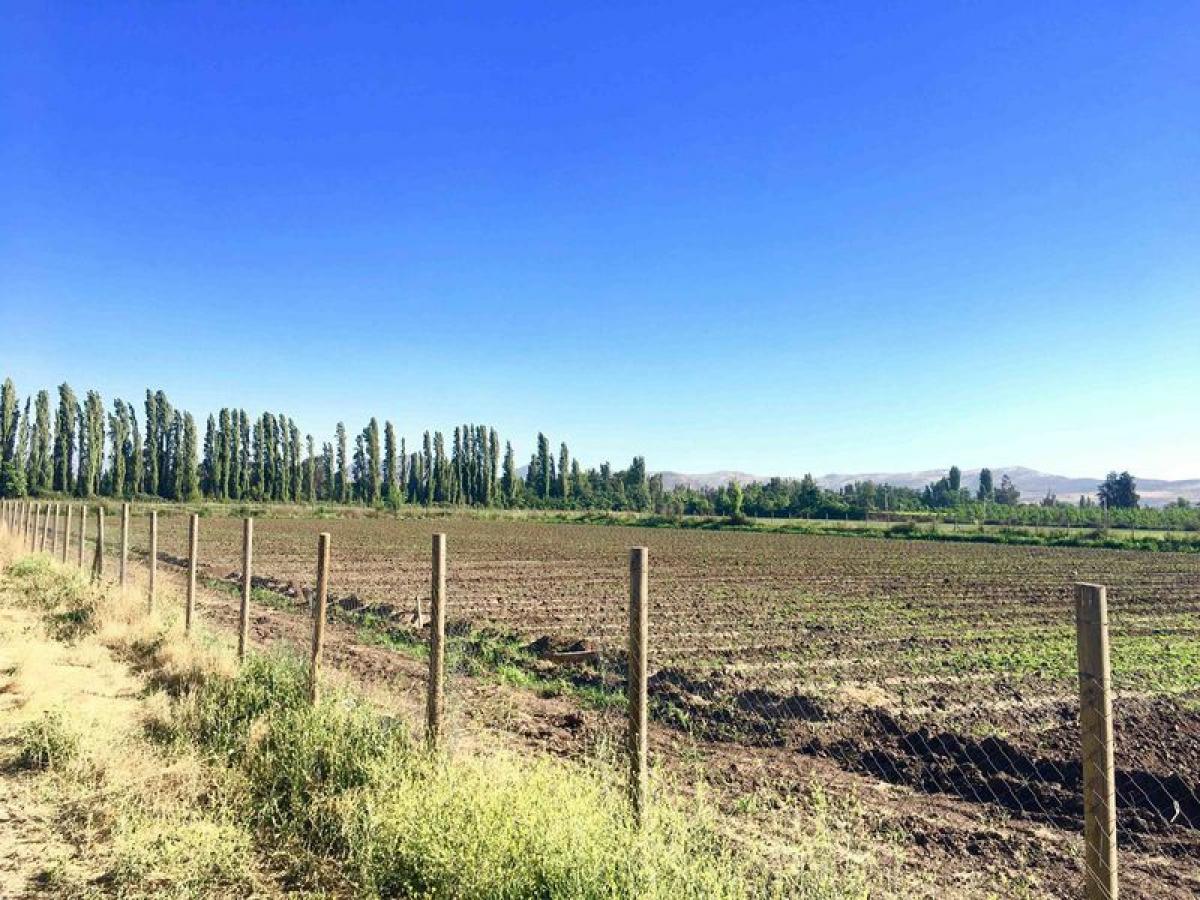 Picture of Residential Land For Sale in Chacabuco, Region Metropolitana
, Chile