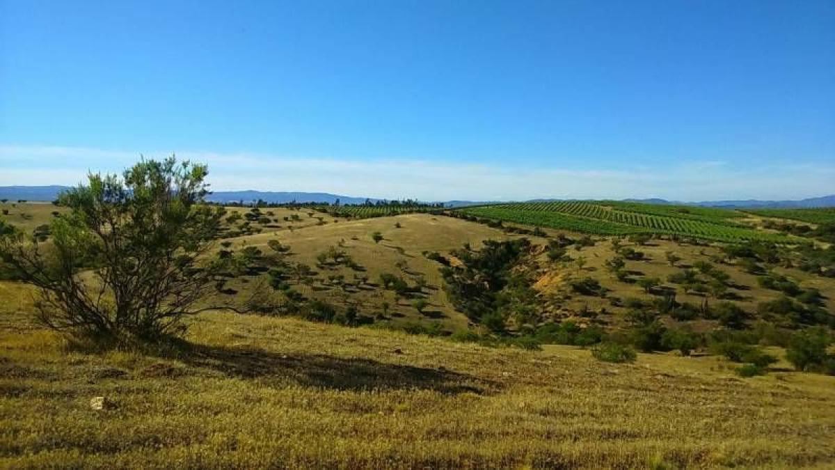 Picture of Condo For Sale in Region De O'Higgins, O'Higgins, Chile