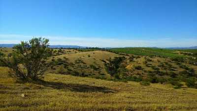 Condo For Sale in Region De O'Higgins, Chile