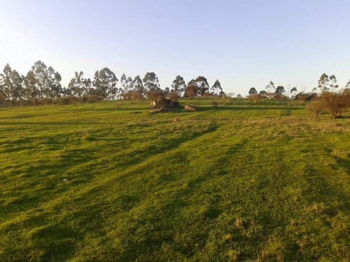 Picture of Condo For Sale in Region De O'Higgins, O'Higgins, Chile