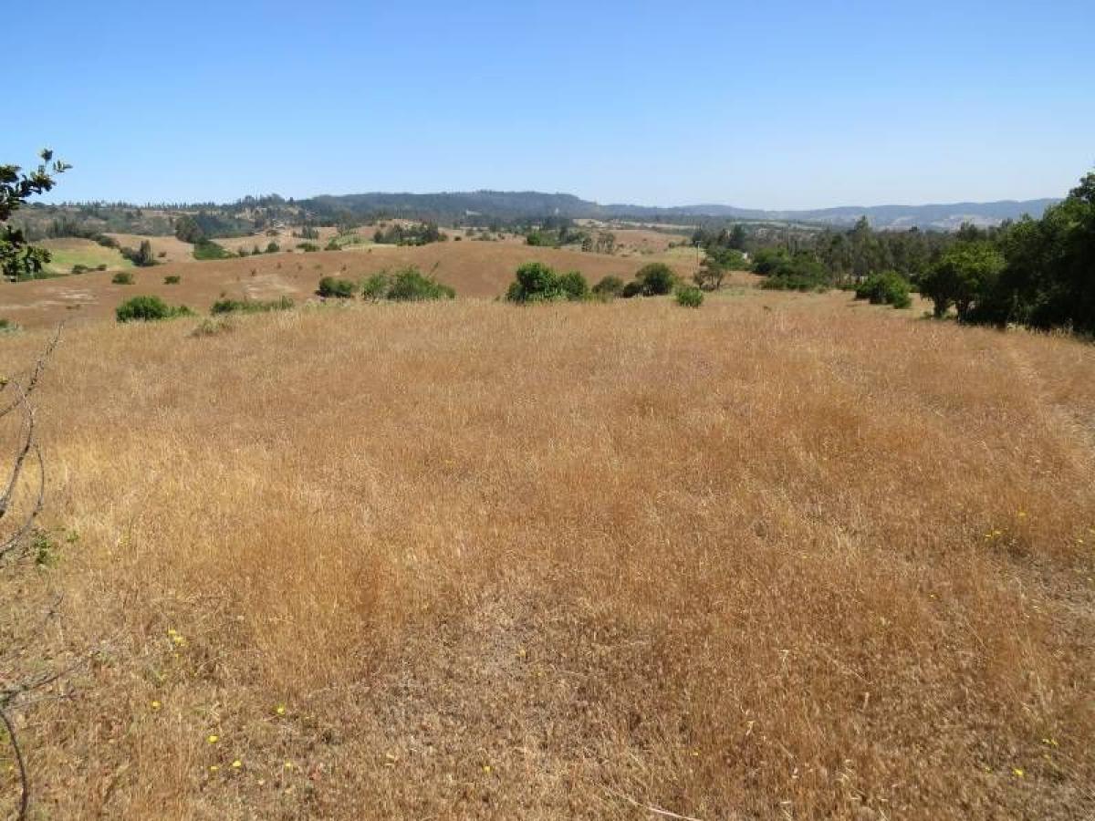 Picture of Condo For Sale in Region De O'Higgins, O'Higgins, Chile