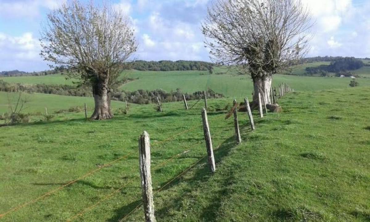 Picture of Condo For Sale in Region De Los Lagos, Los Lagos, Chile