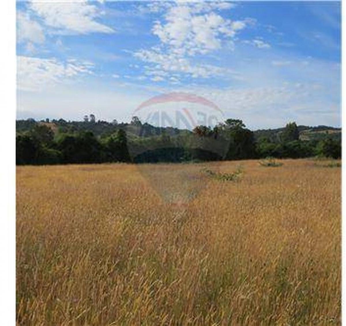 Picture of Residential Land For Sale in Region De Los Lagos, Los Lagos, Chile