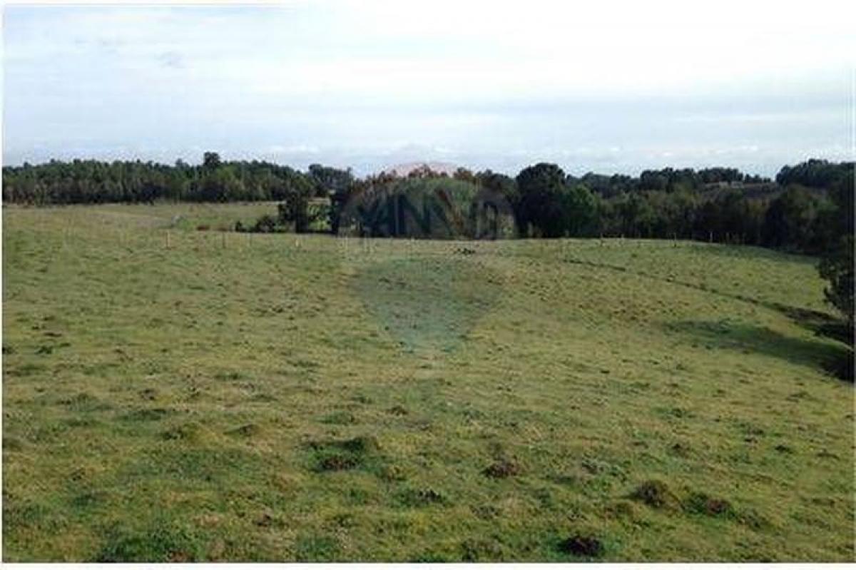 Picture of Residential Land For Sale in Region De Los Lagos, Los Lagos, Chile