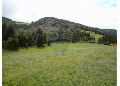 Condo For Sale in Region De Los Lagos, Chile