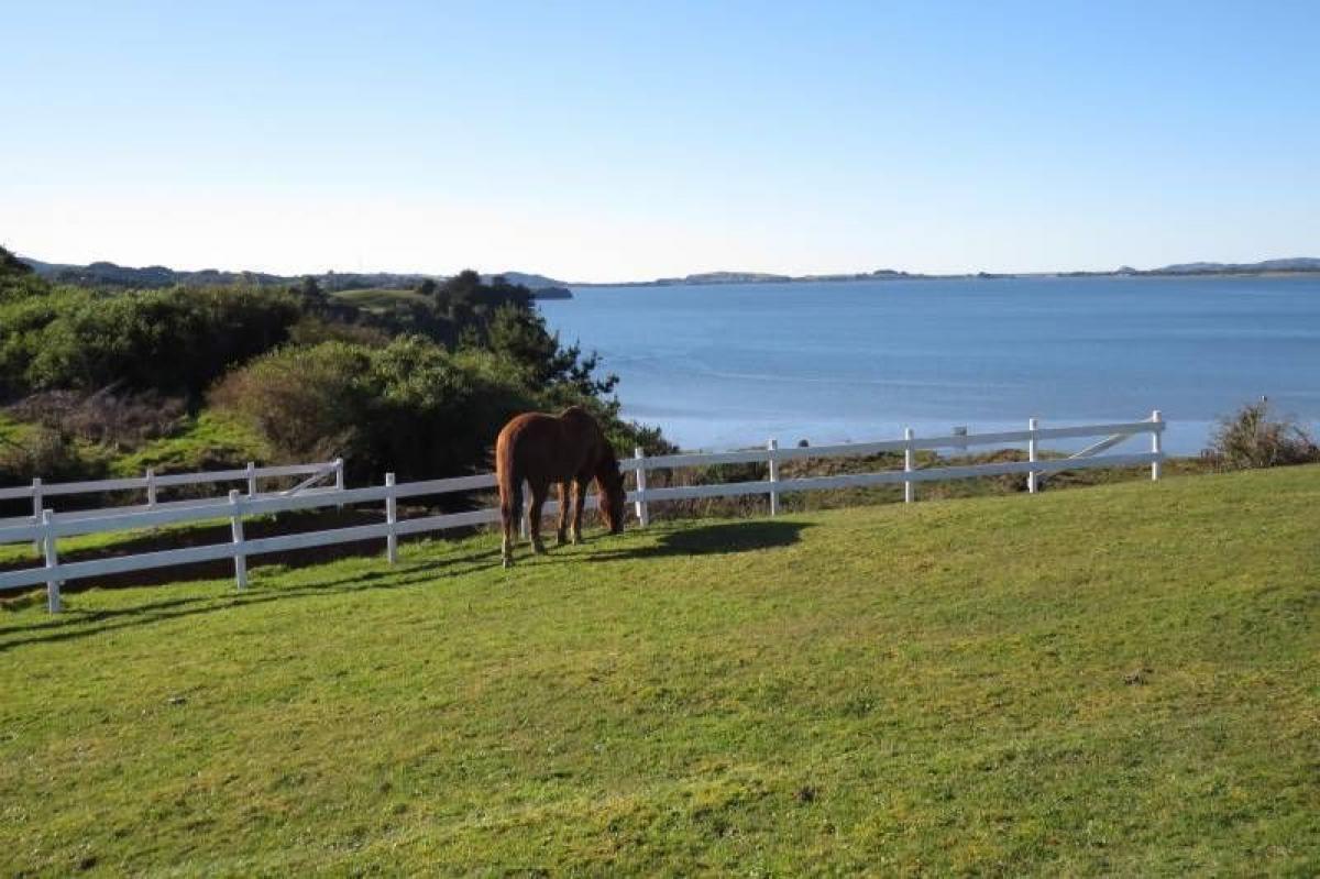 Picture of Residential Land For Sale in Region De Los Lagos, Los Lagos, Chile