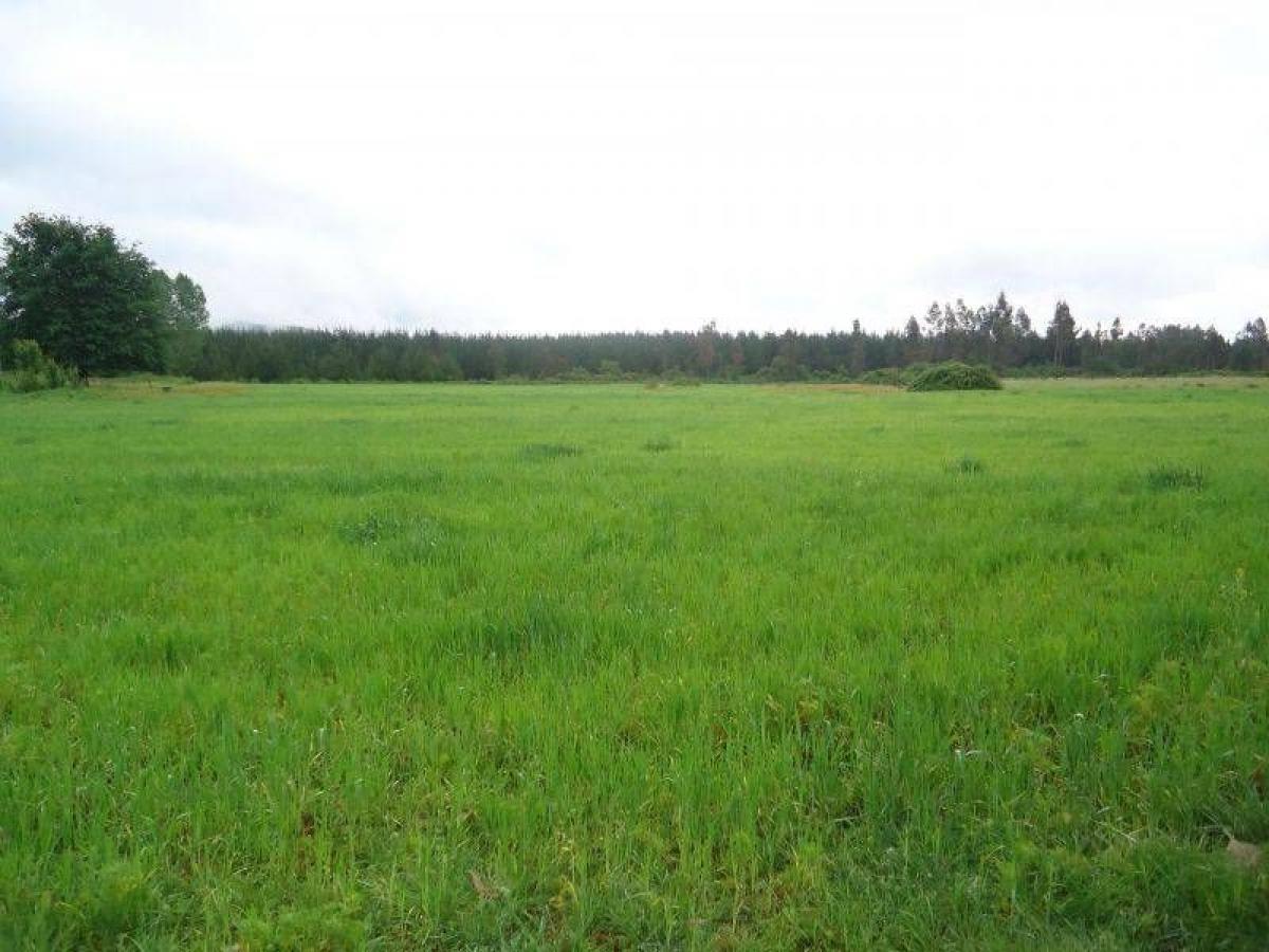 Picture of Residential Land For Sale in Region Del Maule, Maule, Chile