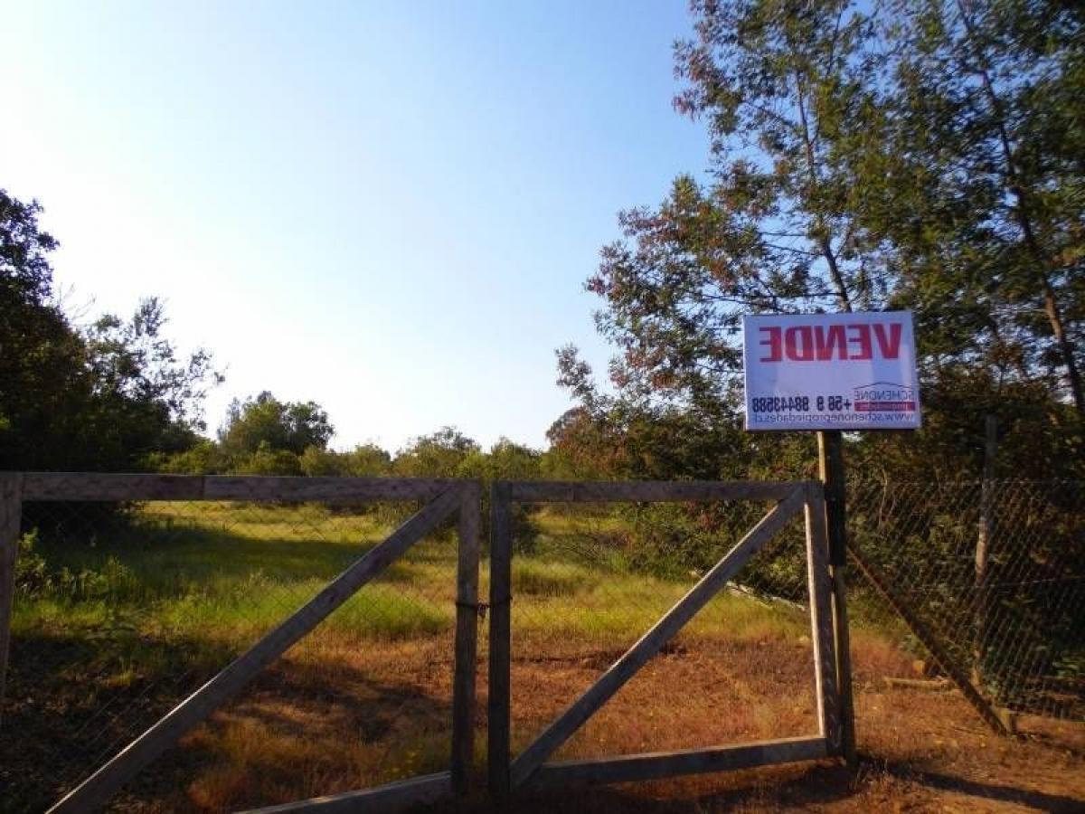 Picture of Residential Land For Sale in Region Del Maule, Maule, Chile