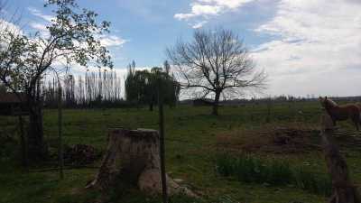 Condo For Sale in Region Del Maule, Chile