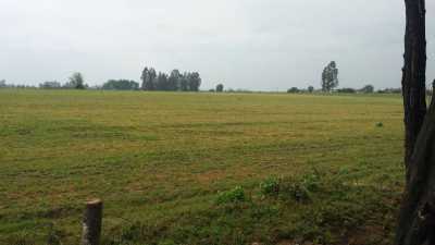 Residential Land For Sale in Region Del Maule, Chile