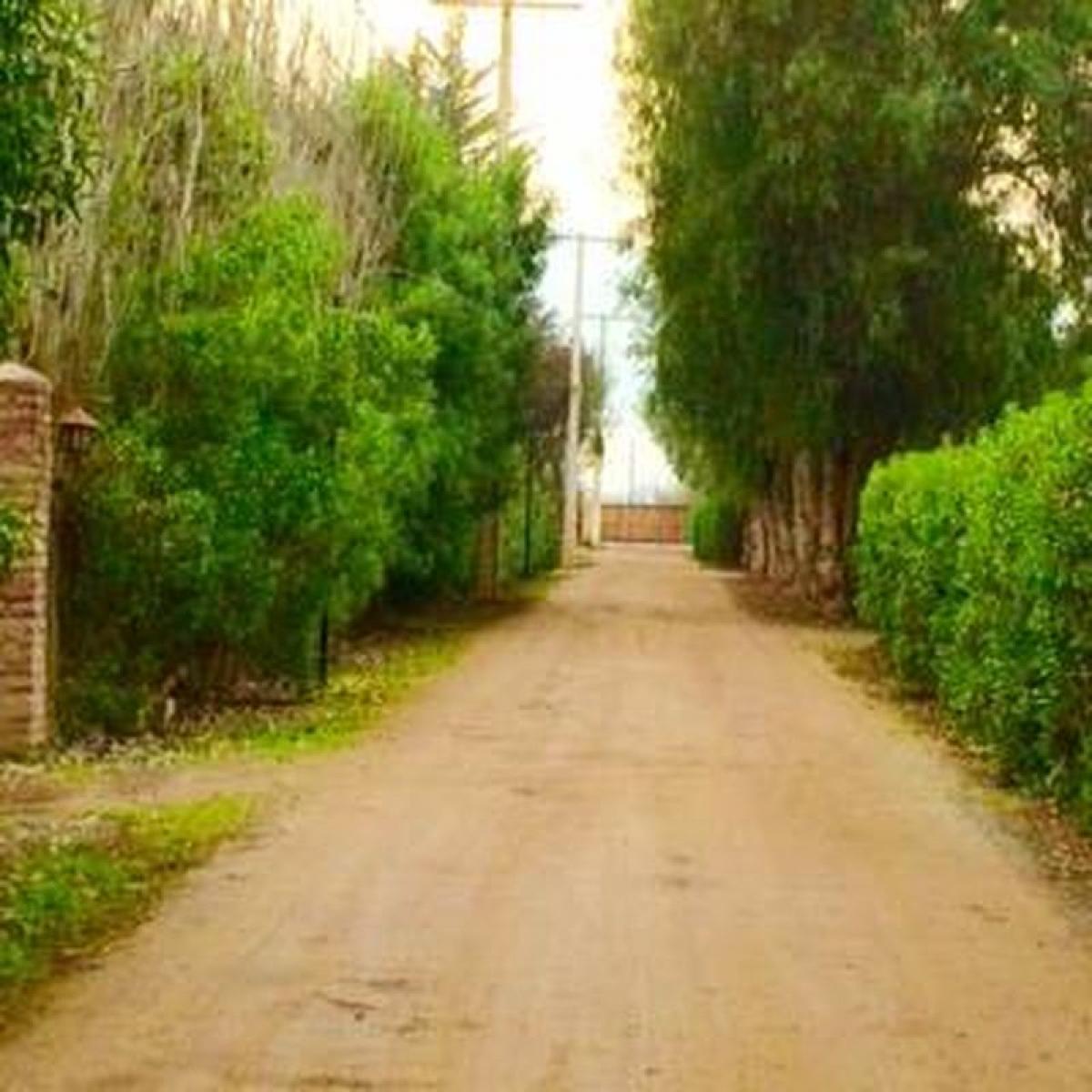 Picture of Residential Land For Sale in Chacabuco, Region Metropolitana
, Chile