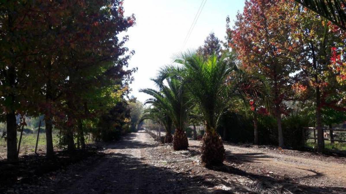 Picture of Residential Land For Sale in Region Del Maule, Maule, Chile