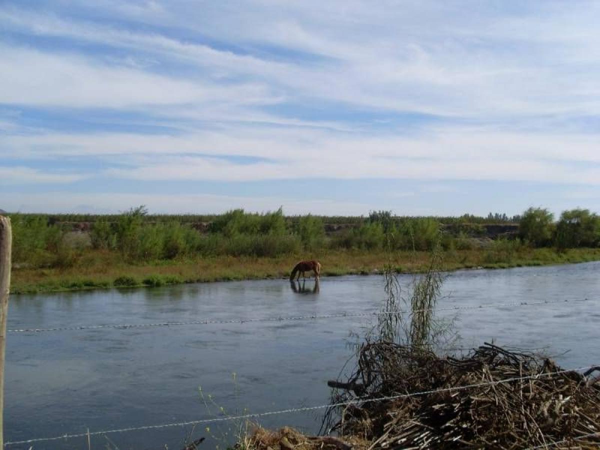 Picture of Condo For Sale in Region Del Maule, Maule, Chile