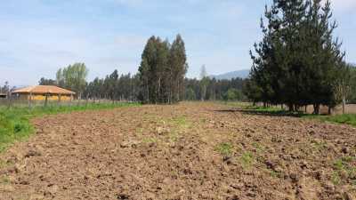 Residential Land For Sale in Region Del Maule, Chile