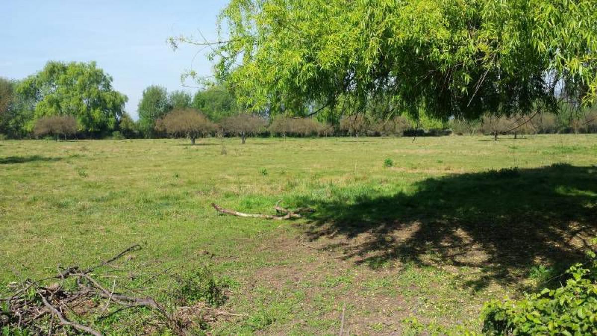 Picture of Residential Land For Sale in Region Del Maule, Maule, Chile