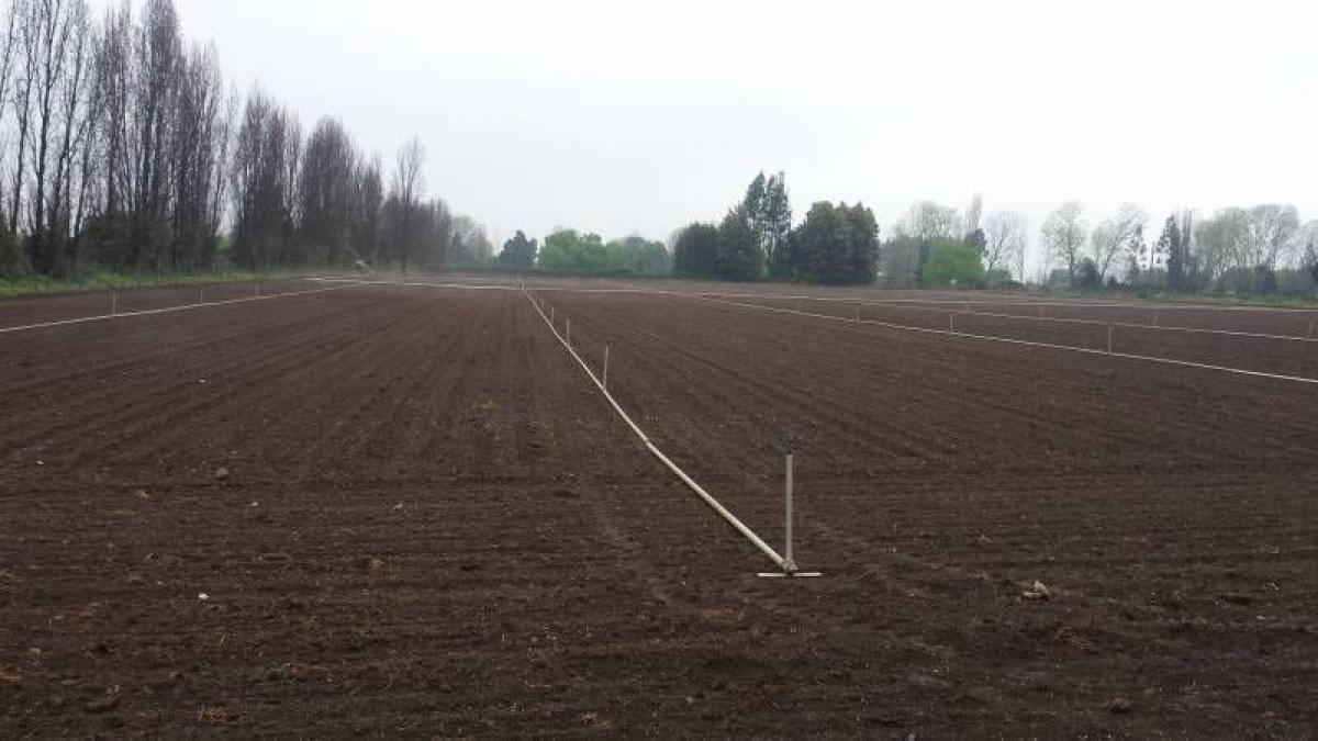 Picture of Residential Land For Sale in Region Del Maule, Maule, Chile