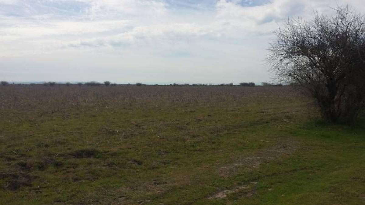 Picture of Condo For Sale in Region Del Maule, Maule, Chile