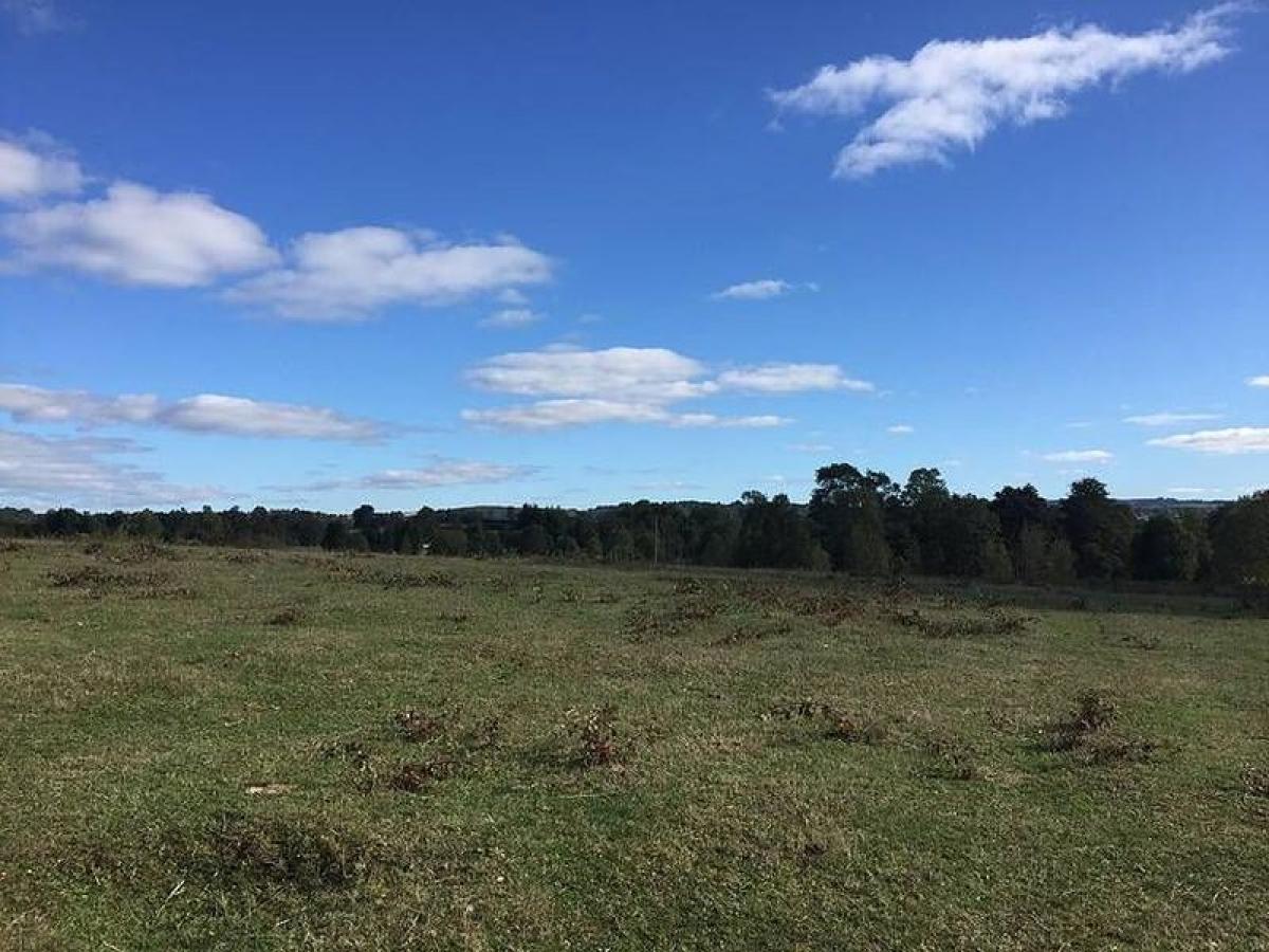 Picture of Condo For Sale in Region De Los Lagos, Los Lagos, Chile