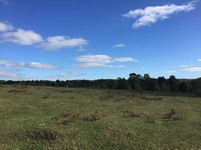 Condo For Sale in Region De Los Lagos, Chile