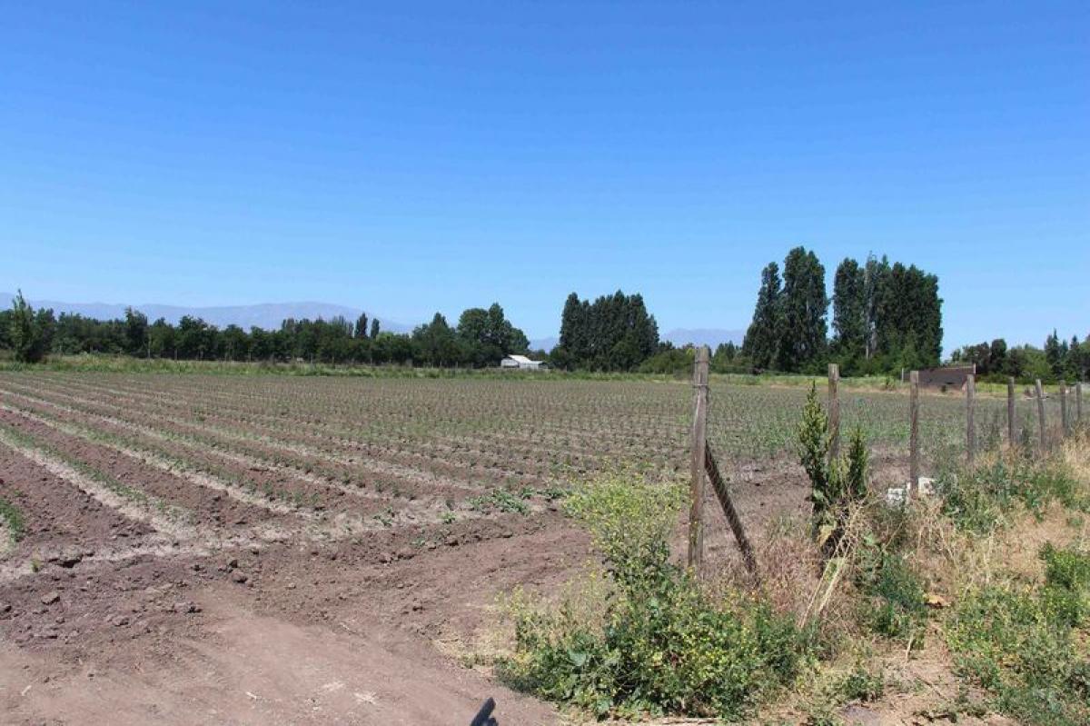 Picture of Residential Land For Sale in Chacabuco, Region Metropolitana
, Chile