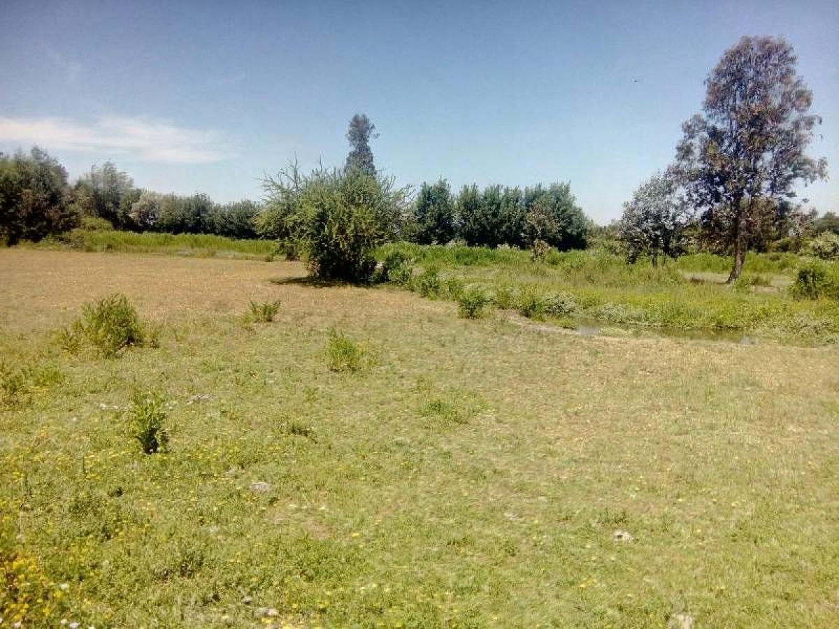 Picture of Condo For Sale in Region Del Maule, Maule, Chile