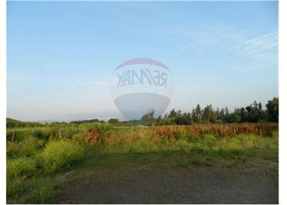 Picture of Residential Land For Sale in Melipilla, Region Metropolitana
, Chile