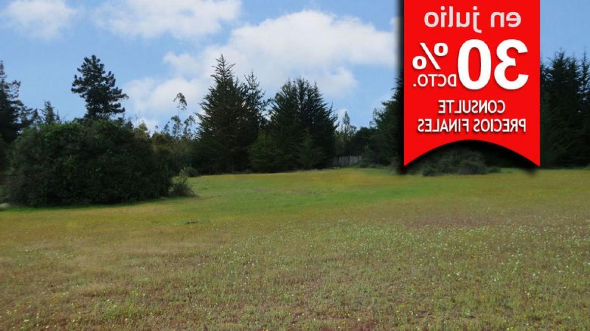 Picture of Residential Land For Sale in Region De O'Higgins, O'Higgins, Chile