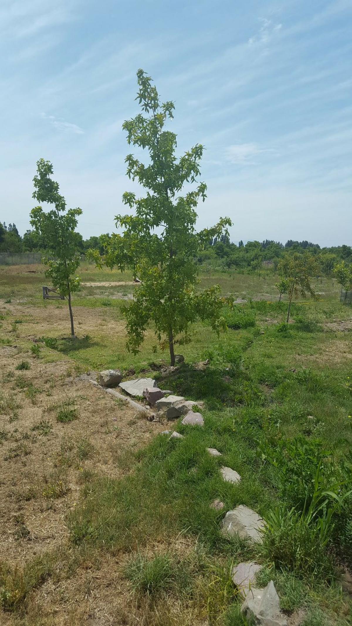 Picture of Home For Sale in Talagante, Region Metropolitana
, Chile