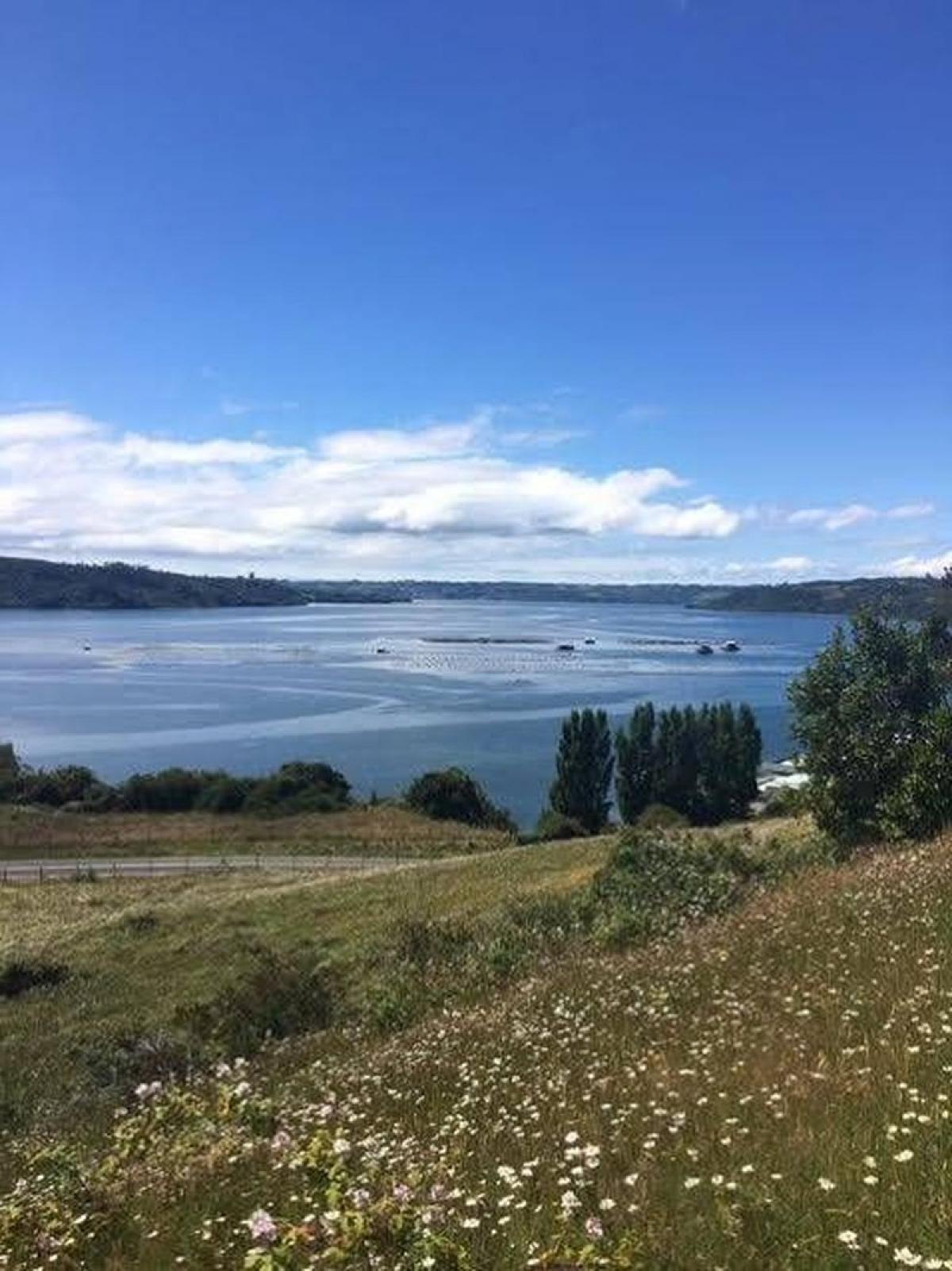 Picture of Condo For Sale in Region De Los Lagos, Los Lagos, Chile