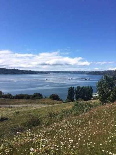 Condo For Sale in Region De Los Lagos, Chile