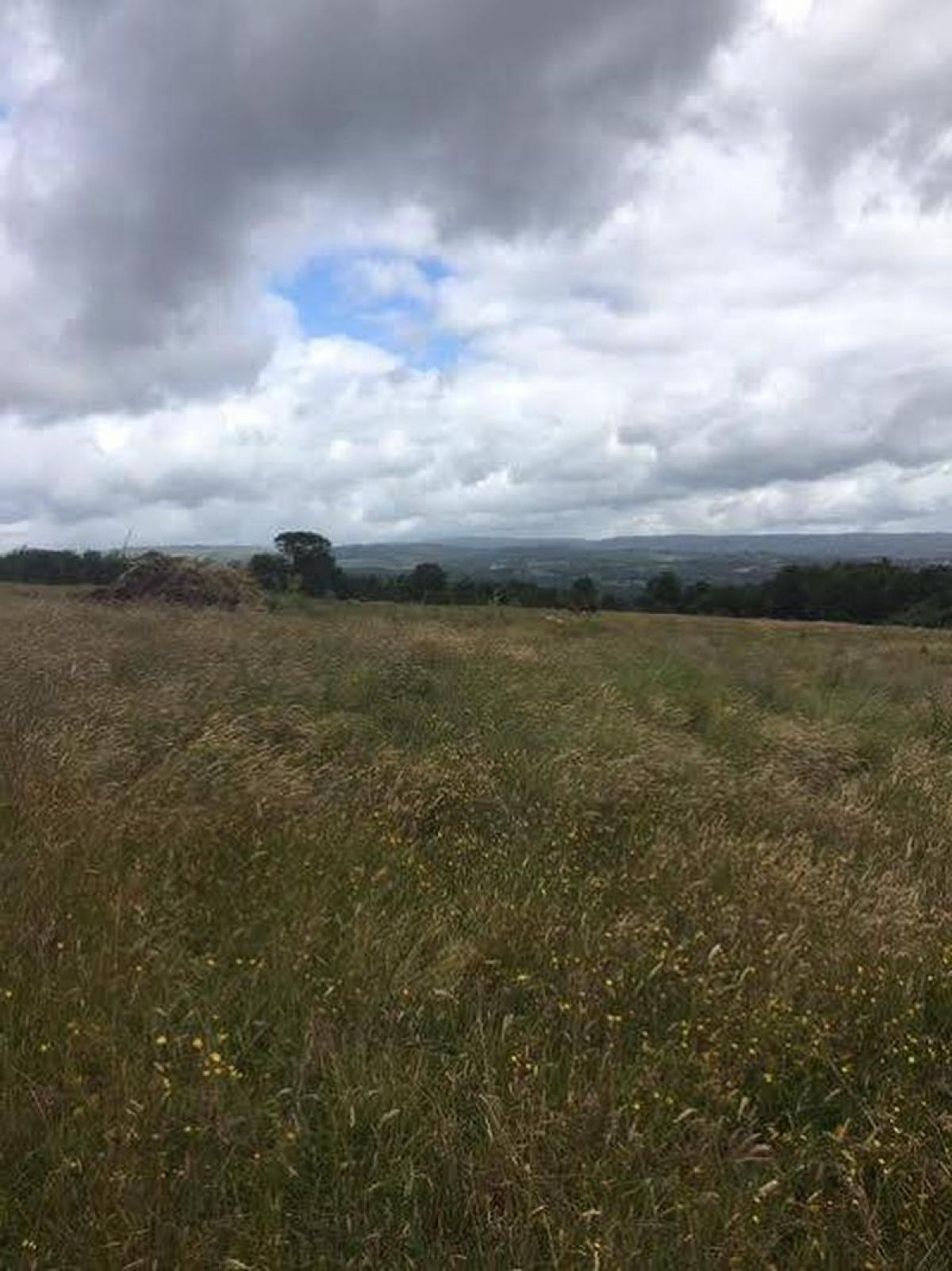 Picture of Residential Land For Sale in Region De Los Lagos, Los Lagos, Chile