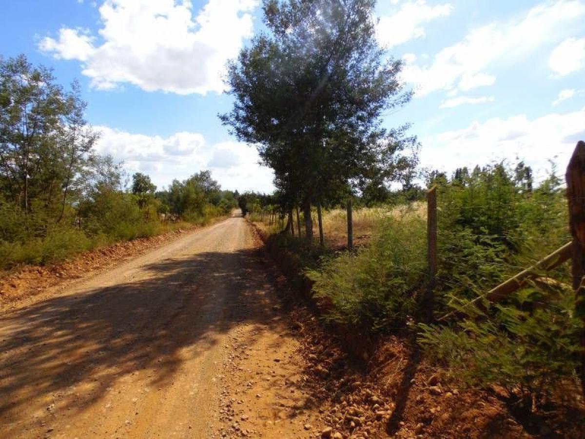 Picture of Residential Land For Sale in Region Del Maule, Maule, Chile