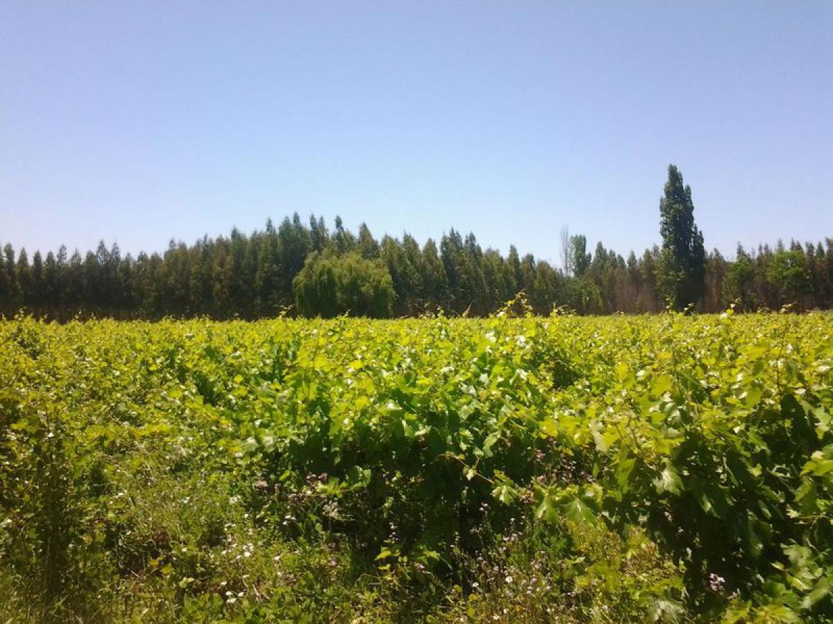 Picture of Residential Land For Sale in Region Del Bio Bio, Bio Bio, Chile