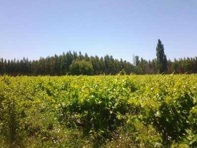 Residential Land For Sale in Region Del Bio Bio, Chile