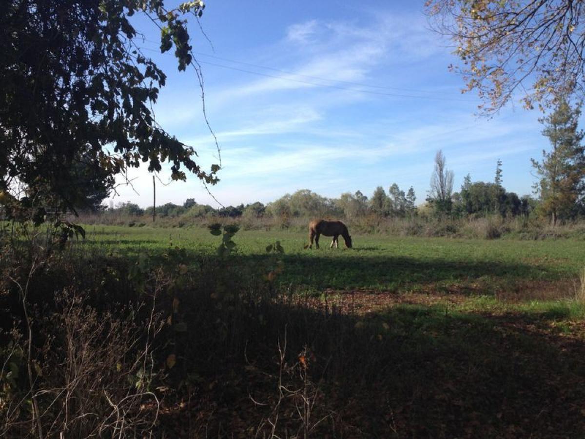 Picture of Residential Land For Sale in Region Del Bio Bio, Bio Bio, Chile