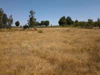 Residential Land For Sale in Region Del Bio Bio, Chile