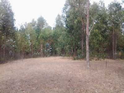 Residential Land For Sale in Region Del Bio Bio, Chile