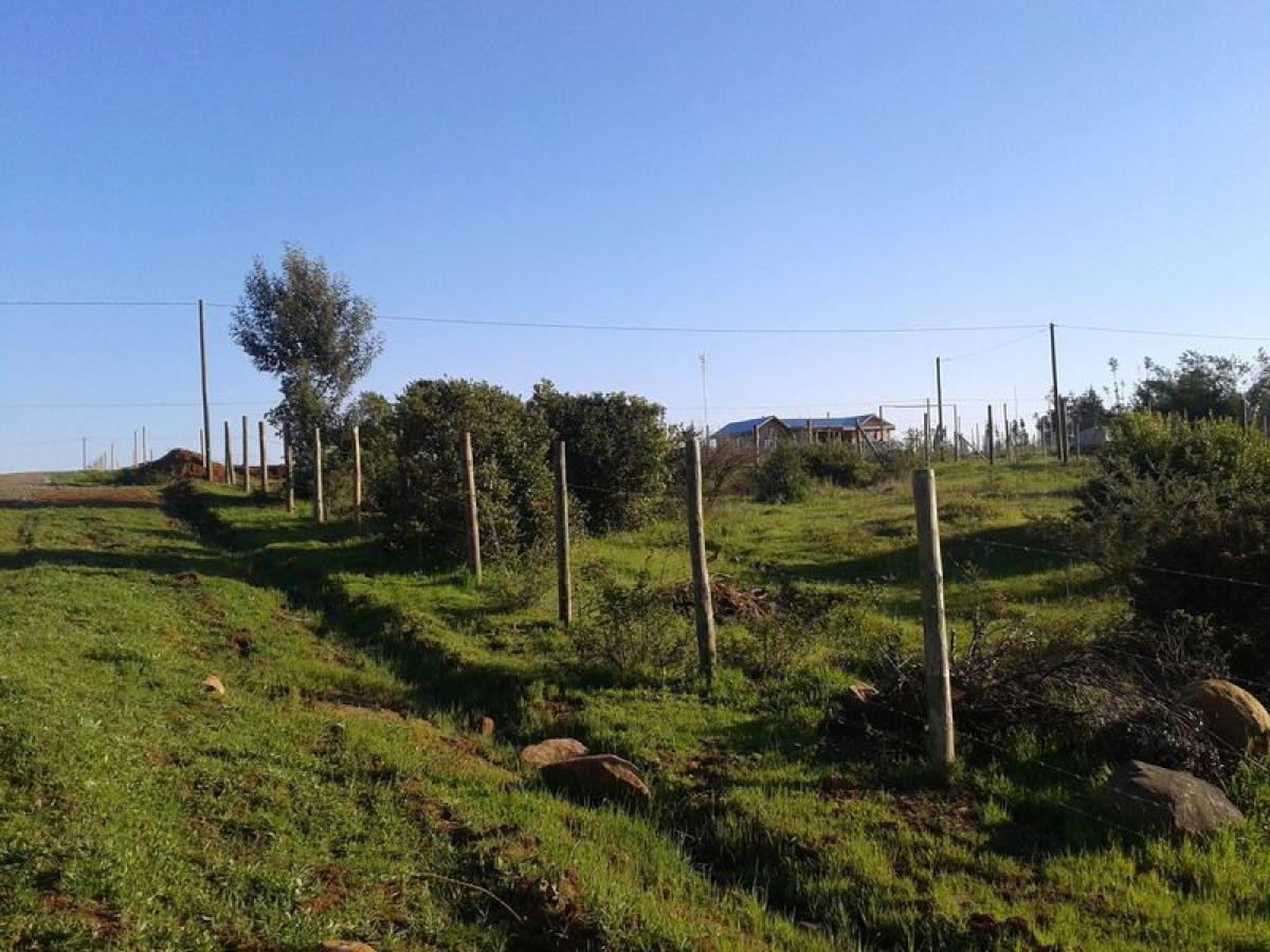 Picture of Residential Land For Sale in Region Del Bio Bio, Bio Bio, Chile