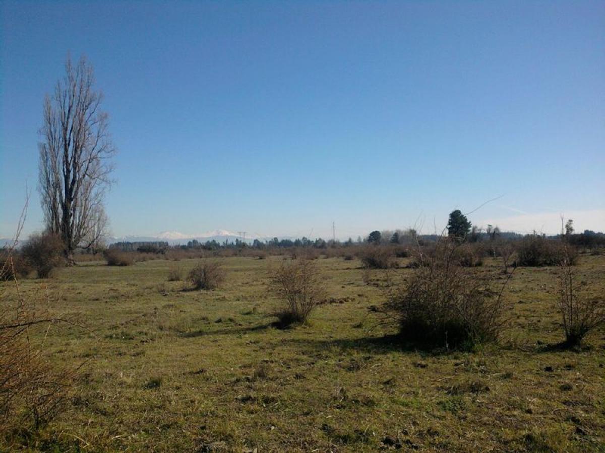 Picture of Residential Land For Sale in Region Del Bio Bio, Bio Bio, Chile