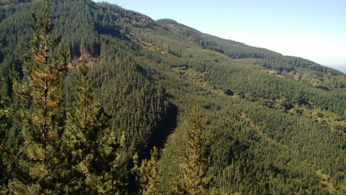 Picture of Residential Land For Sale in Region Del Bio Bio, Bio Bio, Chile