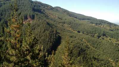 Residential Land For Sale in Region Del Bio Bio, Chile