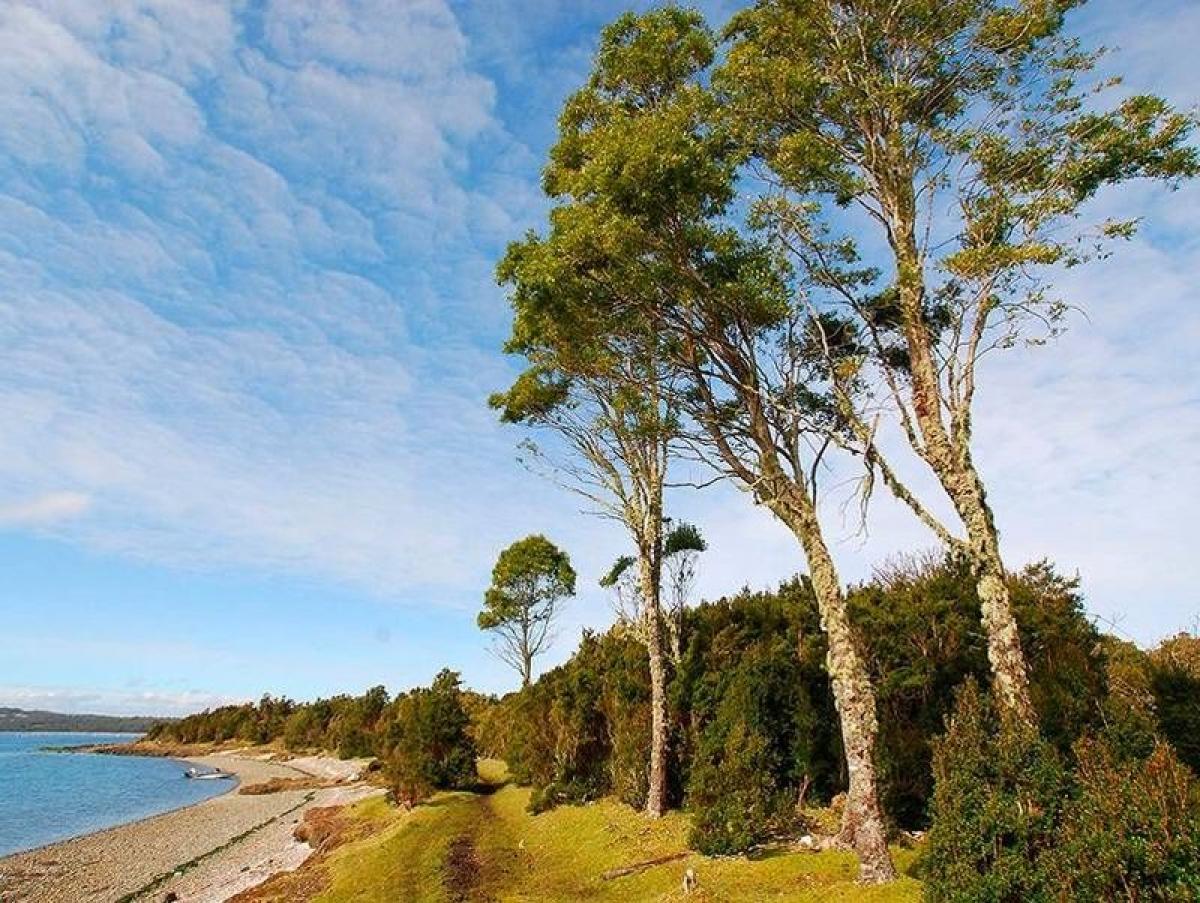 Picture of Residential Land For Sale in Region De Los Lagos, Los Lagos, Chile