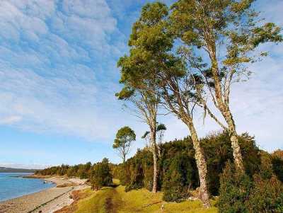 Residential Land For Sale in Region De Los Lagos, Chile
