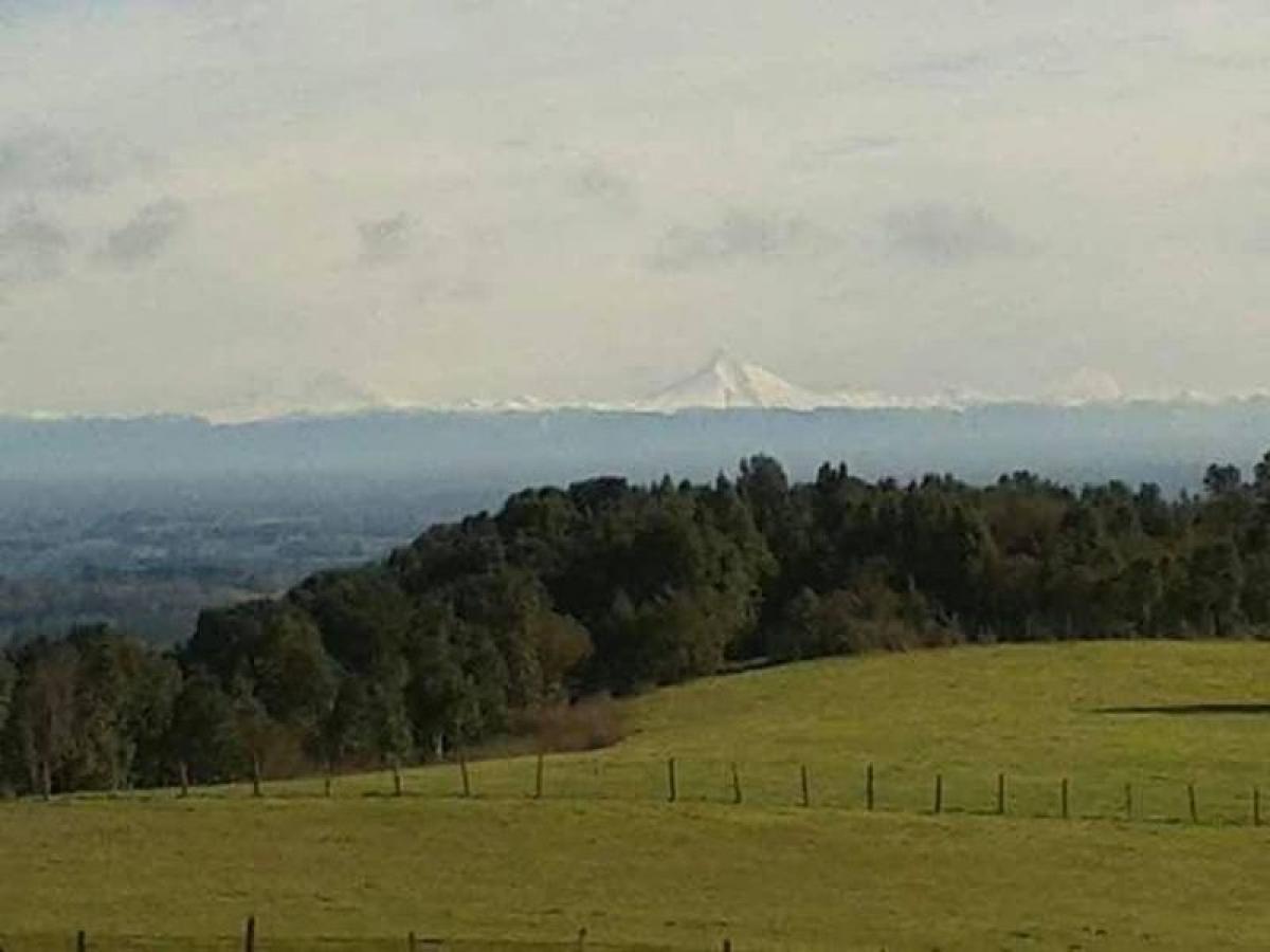 Picture of Condo For Sale in Region De Los Lagos, Los Lagos, Chile