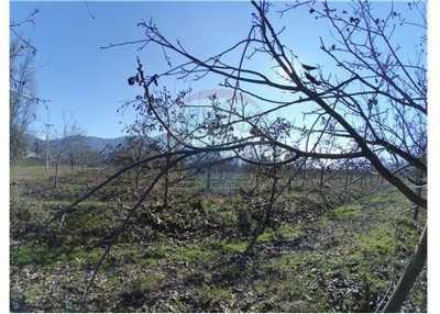 Home For Sale in Region Del Maule, Chile