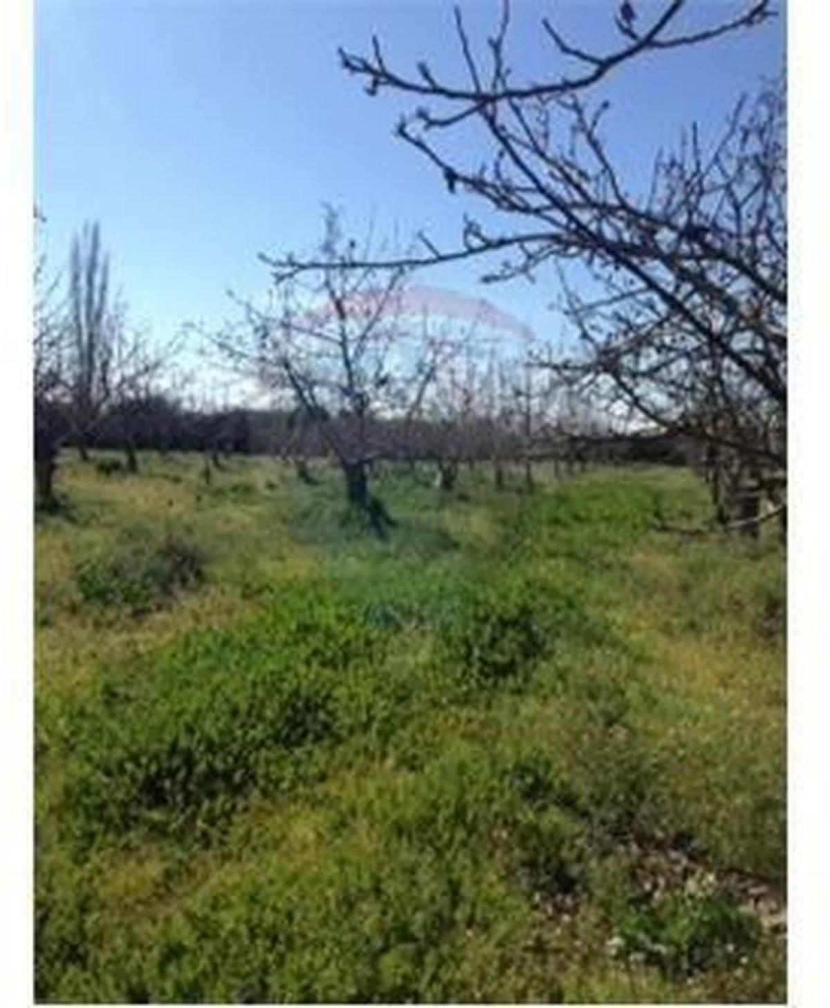 Picture of Home For Sale in Maipo, Region Metropolitana
, Chile