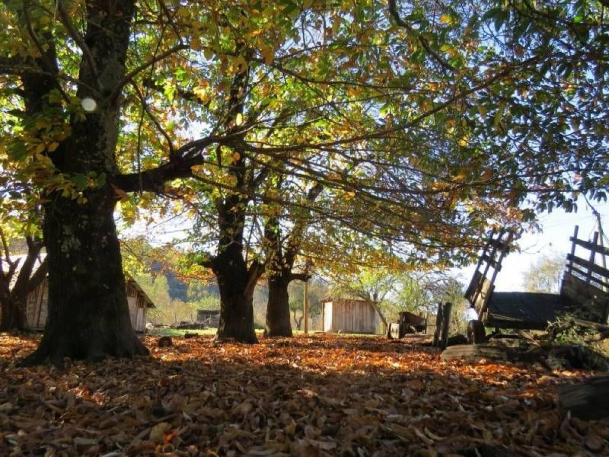 Picture of Condo For Sale in Region Del Bio Bio, Bio Bio, Chile