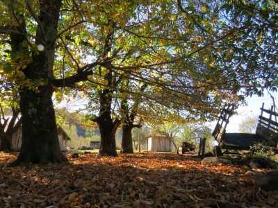 Condo For Sale in Region Del Bio Bio, Chile